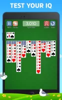 Spider Solitaire Deluxe® 2