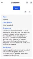 Portuguese English Translator