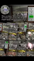 MONEY PUSHER USD
