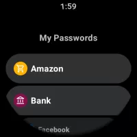 My Passwords