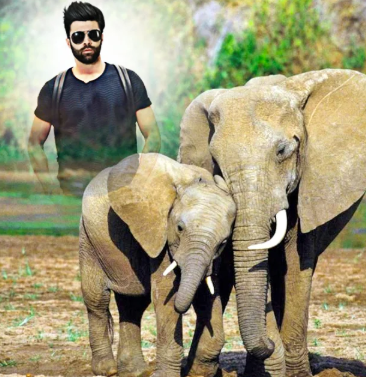 Wild animal photo editor frame