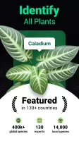 Plantum - Plant Identifier