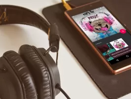 Fuel Music Player