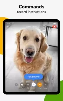Barkio: Dog Monitor & Pet Cam