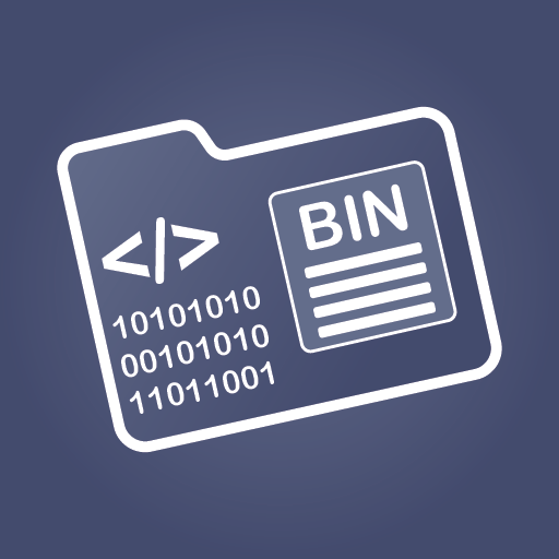 Bin File Opener and Viewer