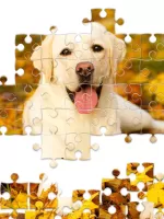 Jigsaw1000: Jigsaw puzzles