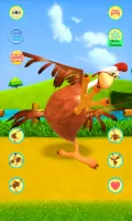 Talking Chicken