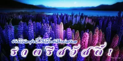 Good Night