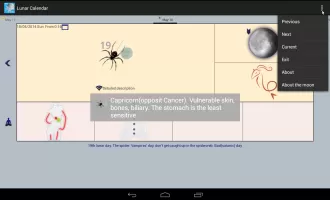 Moon Calendar - Lunar Phases