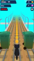 Cat Run 3D