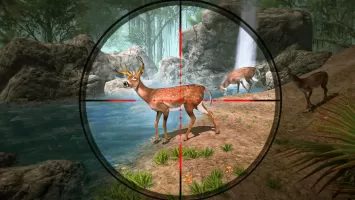 Deer Hunting Shooting Games