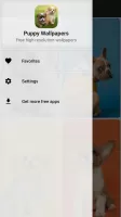 Puppy Wallpapers