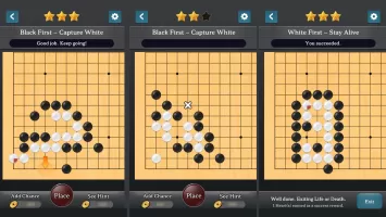 Go Baduk Weiqi Pro