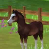 nicole roblox