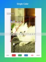 Negative Image