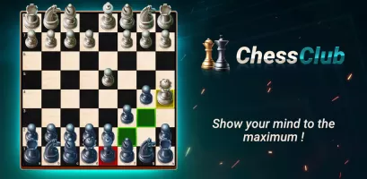 Chess - Offline Board Game