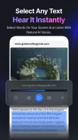Text to Speech Voice Reading