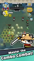 Combo Koala