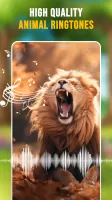 Animal Ringtones & Wallpapers