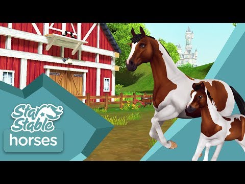 Star Stable Horses App – Updated trailer! (Android/IOS)