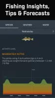 Fishidy