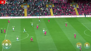 World Football Soccer Match