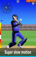 Smashing Cricket: cricket game