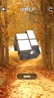 Magic Cube Puzzle