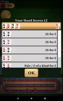 Cribbage Pro