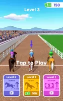 Horse Race Master 3d