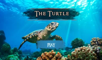The Turtle
