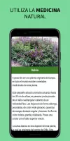 Medicinal Plants and Remedies