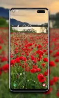 Spring Wallpaper