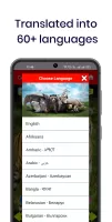 150 Animal Sounds