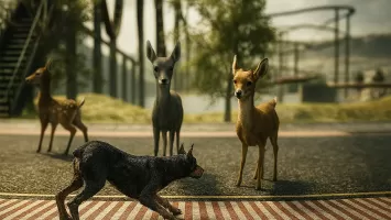 Doberman Dog Simulator