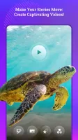 Photo Edit, Background Changer