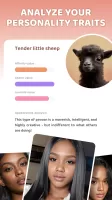 AnimalFace