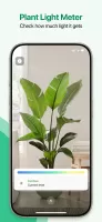 Plant App