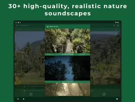 Relax Forest