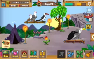 Bird Land: Pet Shop Bird Games