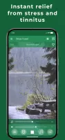 Relax Forest