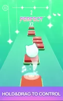 Dancing Cats