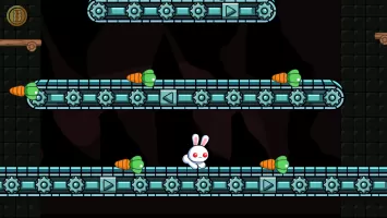 A Pretty Odd Bunny