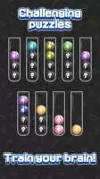 Sorting Ball Quiz