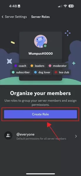 How to Make User an Admin on Discord Server？