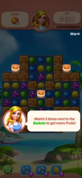 Fruit Diary - Match 3 Games
