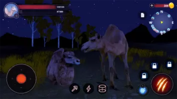 The Camel