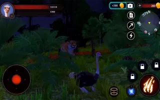 The Ostrich