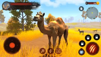 The Camel