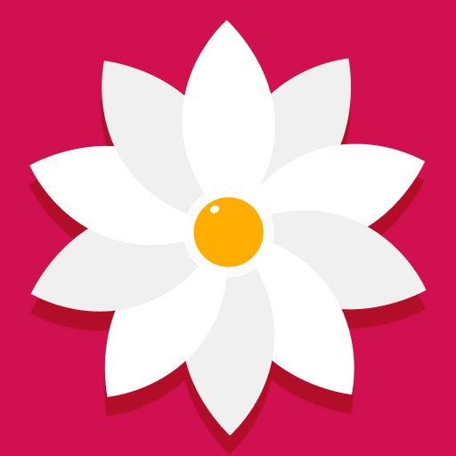 Gallery: Photo Gallery, Album